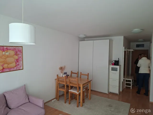 Kiadó lakás Budapest XI. kerület, Belbuda XI. ker. 46 nm