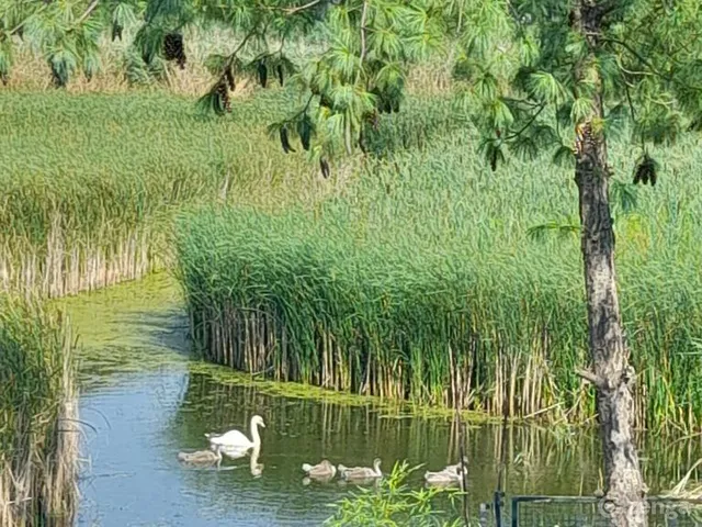 Eladó ház Szigetszentmiklós, Alsóbucka 149 nm