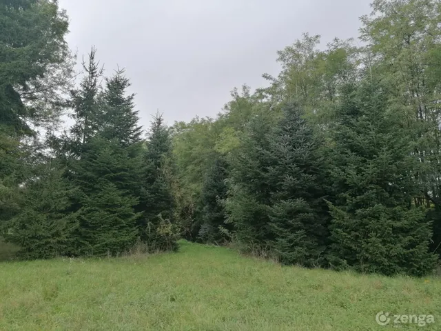 Eladó telek Felsőmarác 3577 nm