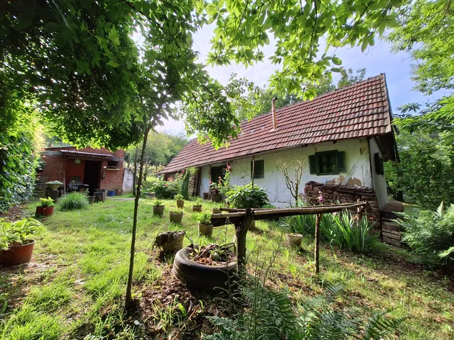 Eladó mezőgazdasági ingatlan Homokkomárom 40 nm