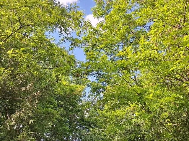 Eladó telek Kéthely 7513 nm