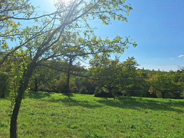 Eladó mezőgazdasági ingatlan Nagygörbő 7250 nm