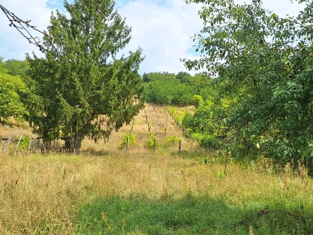 Eladó telek Sümeg 3780 nm