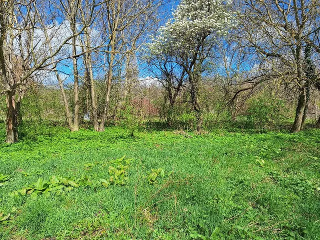 Eladó telek Zalaszántó 2473 nm