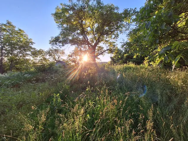 Eladó telek Zalaszántó 4875 nm