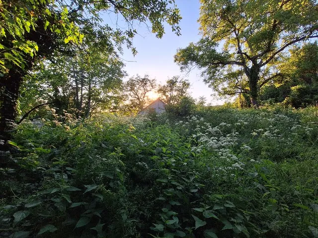 Eladó telek Zalaszántó 4875 nm