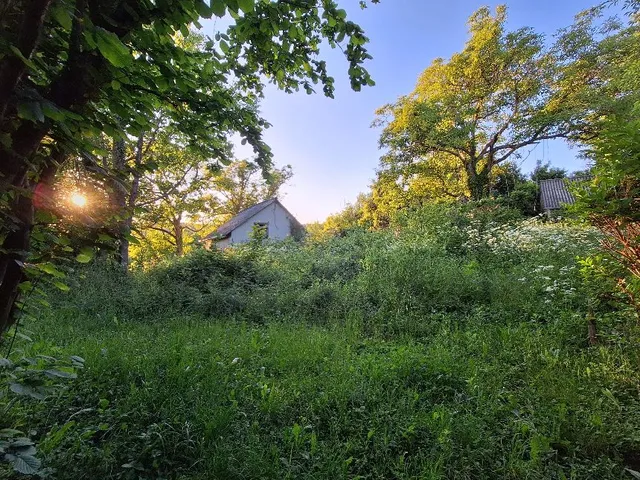 Eladó telek Zalaszántó 4875 nm