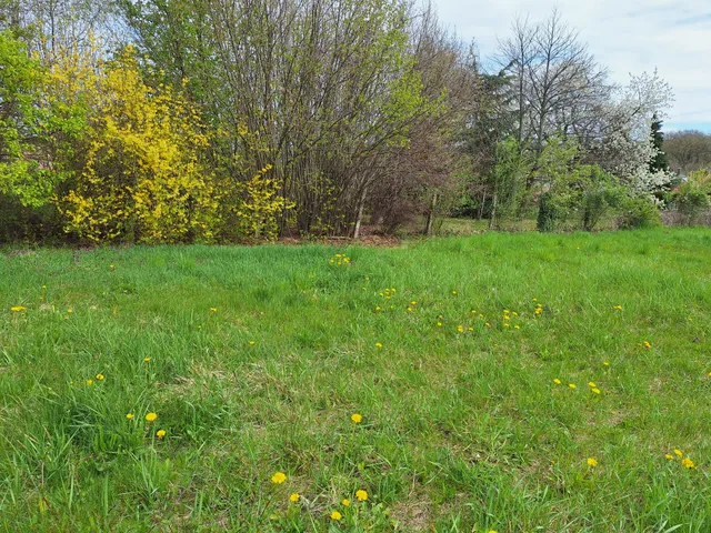 Eladó telek Nemesbük 1560 nm