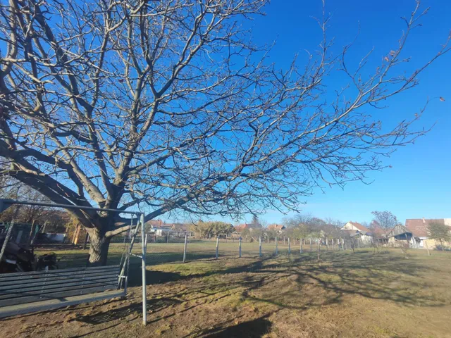 Eladó ház Szeged, Béketelep 80 nm