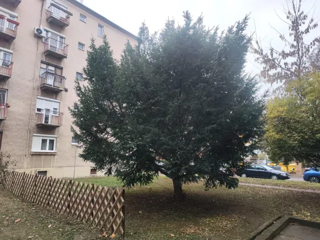 Eladó lakás Szeged, Újszeged 52 nm