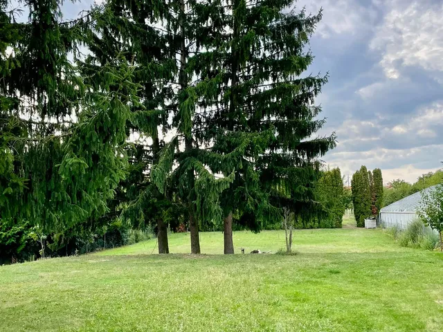 Eladó ház Szeleste, Fenyő utca 6. 90 nm