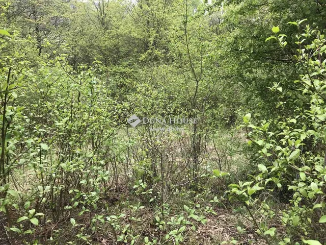 Eladó telek Pilismarót 720 nm