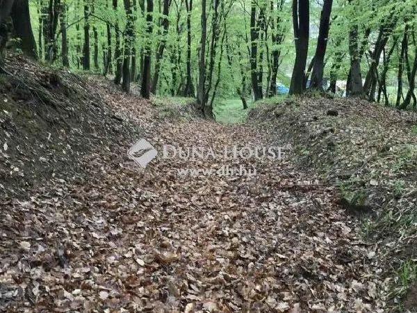 Eladó telek Pilismarót 720 nm