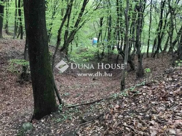 Eladó telek Pilismarót 720 nm