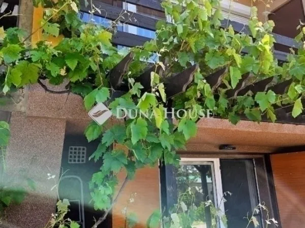 Eladó ház Szigetszentmiklós 140 nm