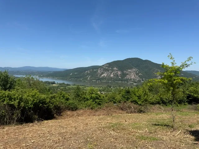 Eladó telek Dömös 2473 nm