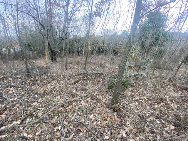 Eladó telek Szentendre 1228 nm