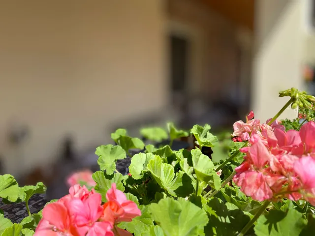 Eladó ház Nagybörzsöny 129 nm