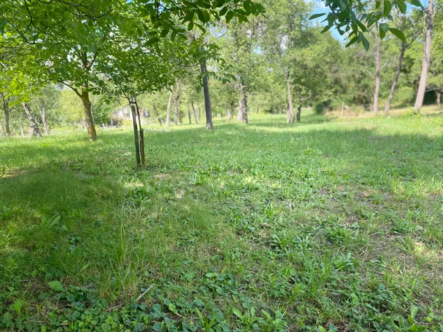 Eladó ház Nagybörzsöny 75 nm