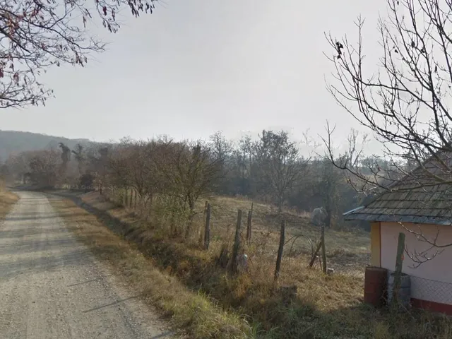 Eladó mezőgazdasági ingatlan Letkés 712 nm
