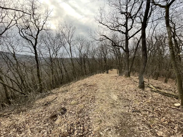 Eladó telek Kismaros, Börzsönyliget 3387 nm