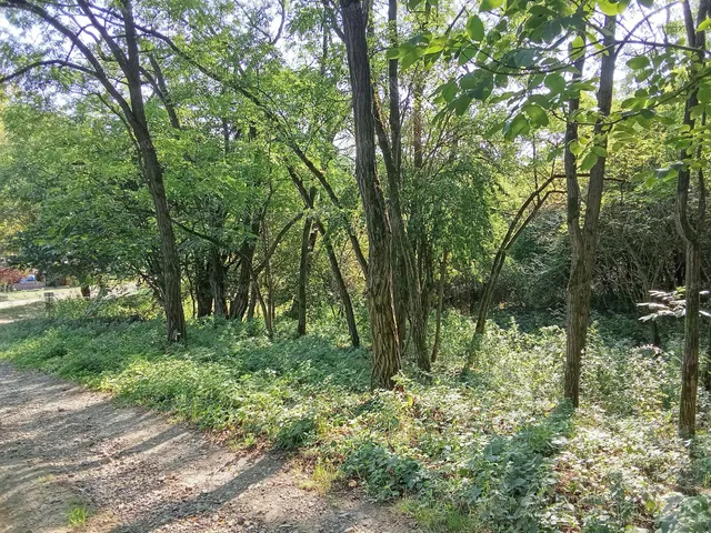 Eladó mezőgazdasági ingatlan Zebegény 5823 nm