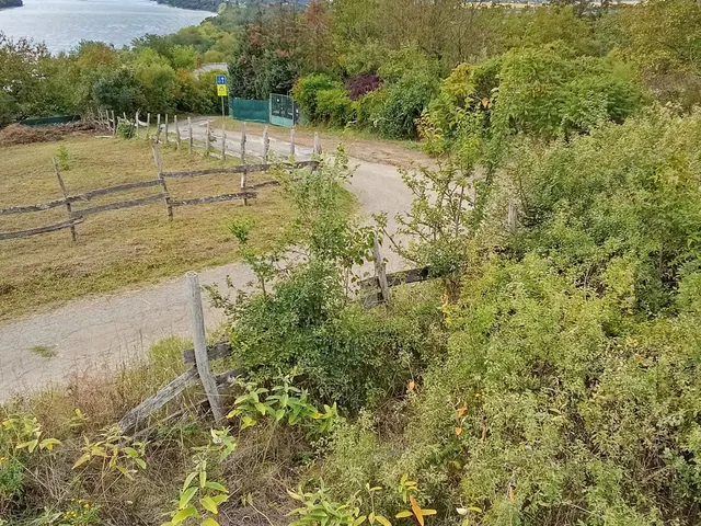 Eladó telek Zebegény 743 nm