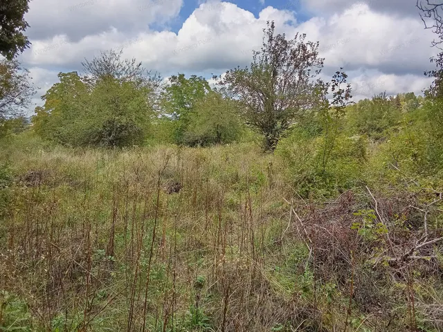 Eladó telek Zebegény 743 nm