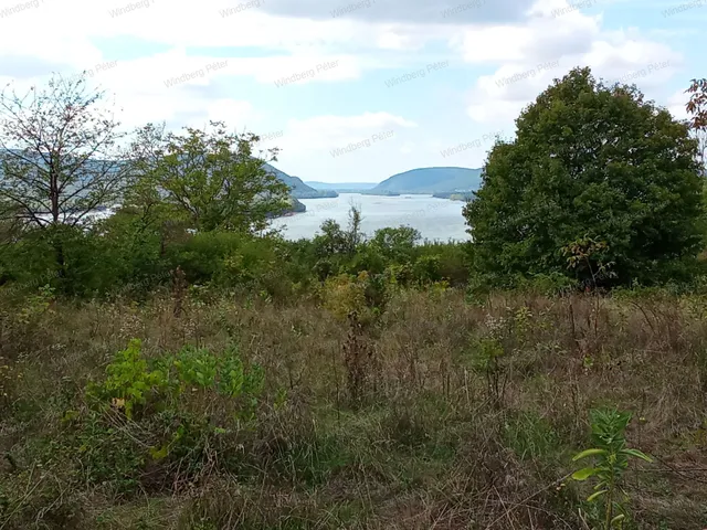 Eladó telek Zebegény 3698 nm