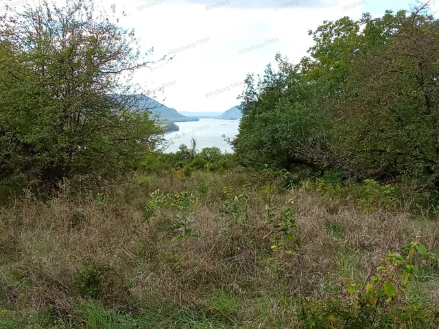 Eladó mezőgazdasági ingatlan Zebegény 3698 nm