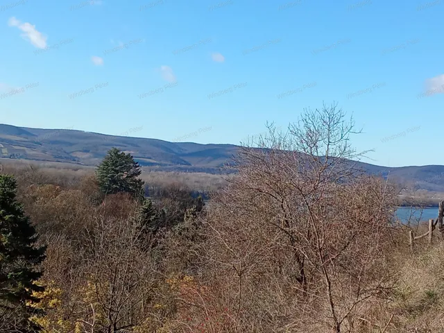 Eladó mezőgazdasági ingatlan Zebegény 994 nm