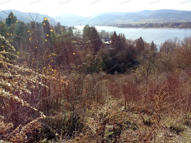 Eladó telek Zebegény 1298 nm