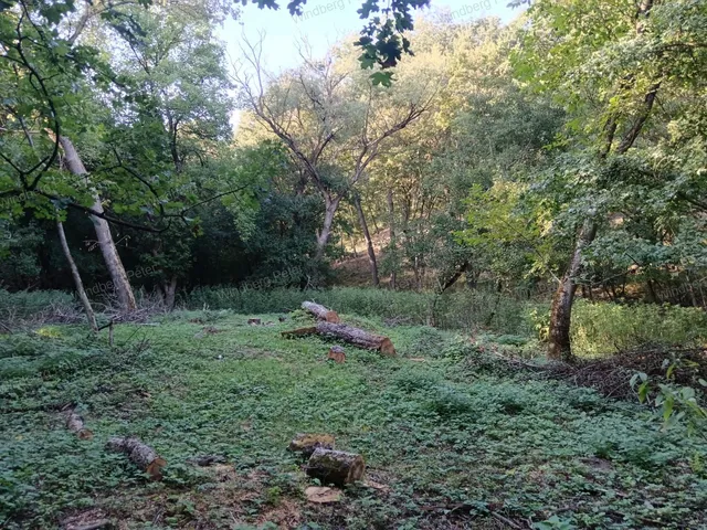 Eladó mezőgazdasági ingatlan Zebegény 70 nm