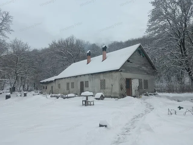 Eladó mezőgazdasági ingatlan Zebegény 86 nm