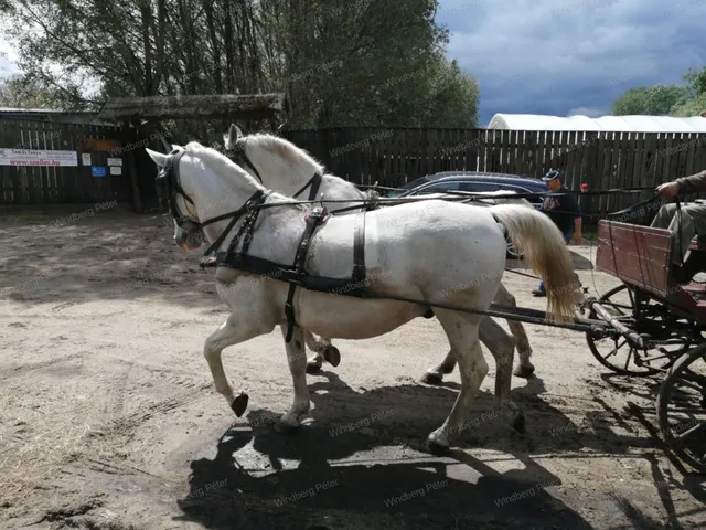 Eladó mezőgazdasági ingatlan Debrecen 500 nm