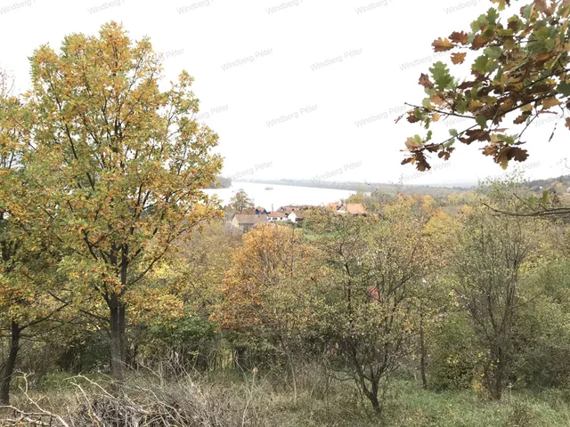 Eladó telek Zebegény 2950 nm