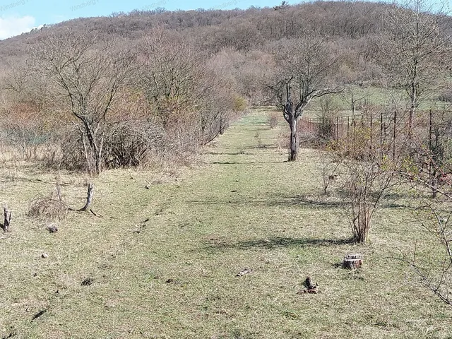 Eladó mezőgazdasági ingatlan Márianosztra 2200 nm