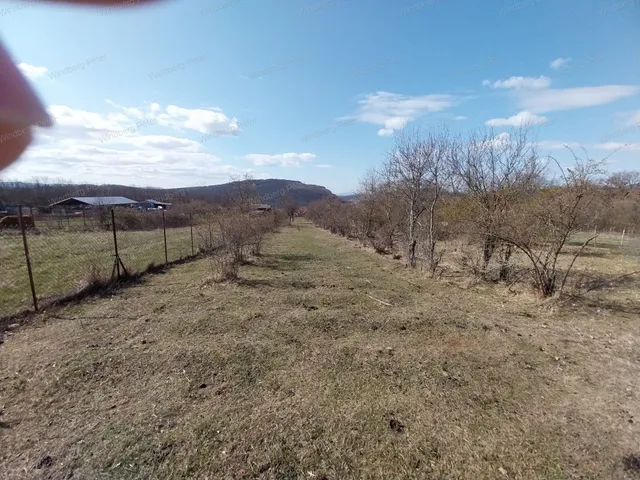 Eladó mezőgazdasági ingatlan Márianosztra 2200 nm