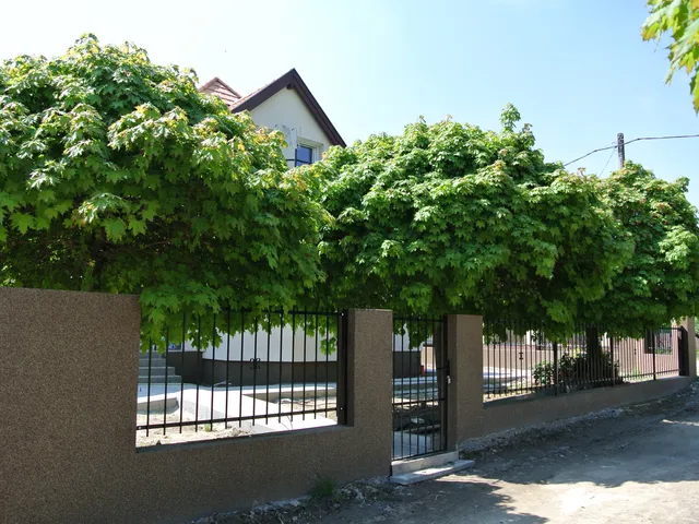 Eladó új építésű lakópark Ráckeve