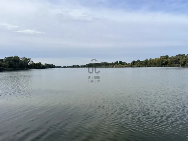 Eladó üdülő és hétvégi ház Dömsöd 45 nm