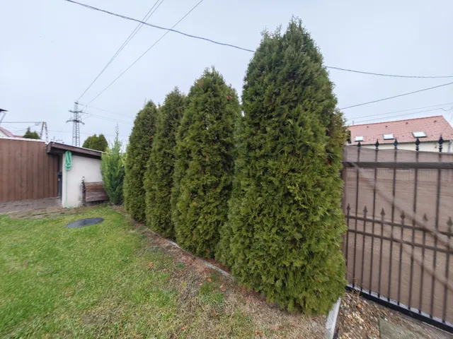 Kiadó ház Szigetszentmiklós, Ragád 80 nm