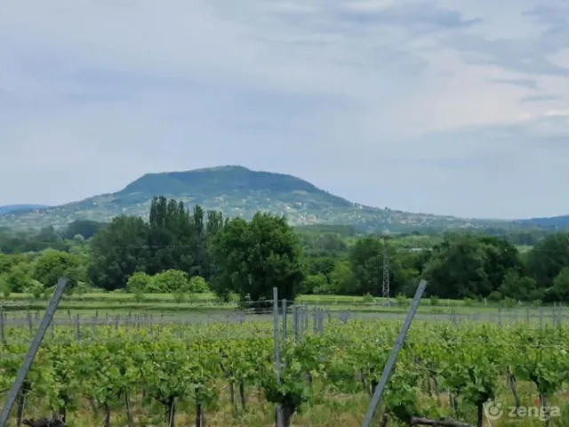 Eladó üdülő és hétvégi ház Balatonederics 40 nm