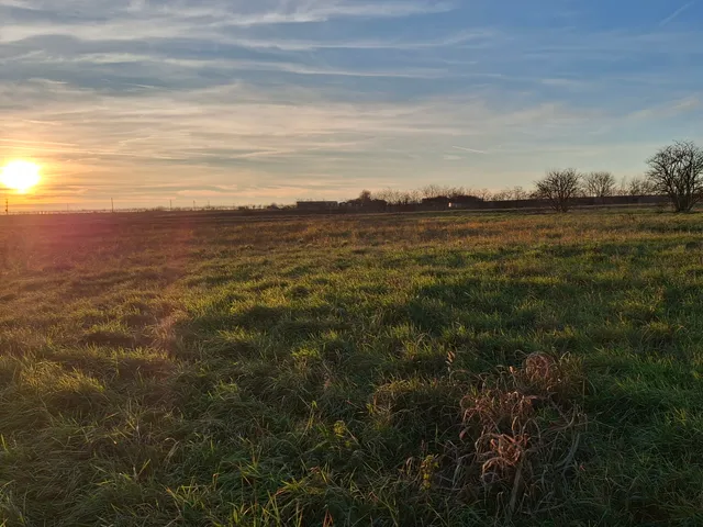 Eladó telek Pécsudvard 1087 nm