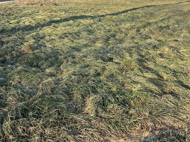 Eladó telek Kehidakustány 700 nm