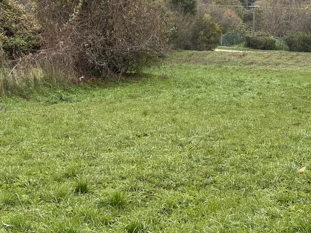 Eladó telek Cserszegtomaj 3922 nm