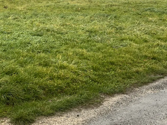 Eladó telek Cserszegtomaj 3000 nm