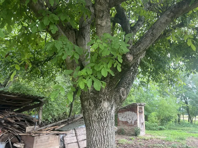 Eladó ház Szalapa 124 nm