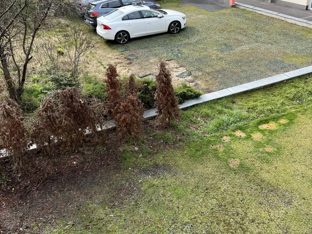 Eladó lakás Zalaegerszeg 87 nm