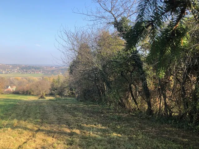 Eladó telek Hévíz 1020 nm