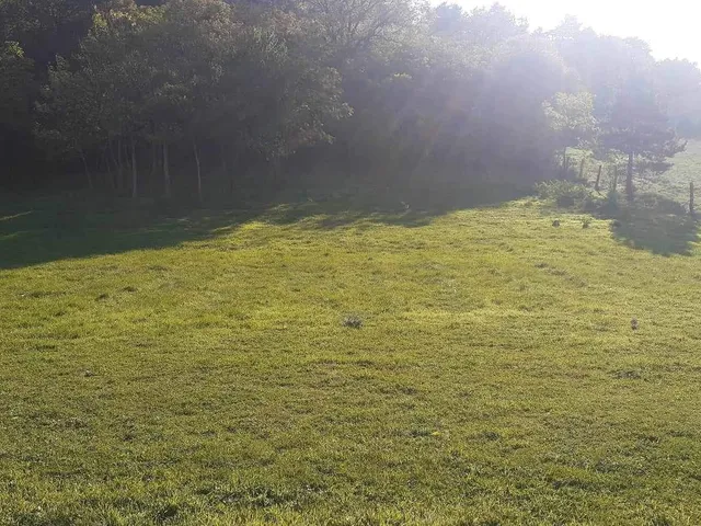 Eladó telek Vonyarcvashegy 1266 nm